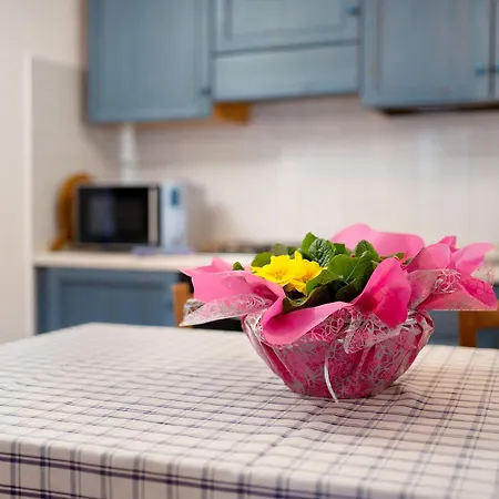 公寓 Casa Azzurra - Sciu'pepin